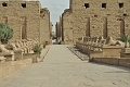 2013 02 05_5529